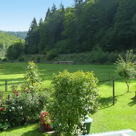 Holiday Thomasmuhle Schleusingerneundorf - Dmg07036-f * Schleusingen