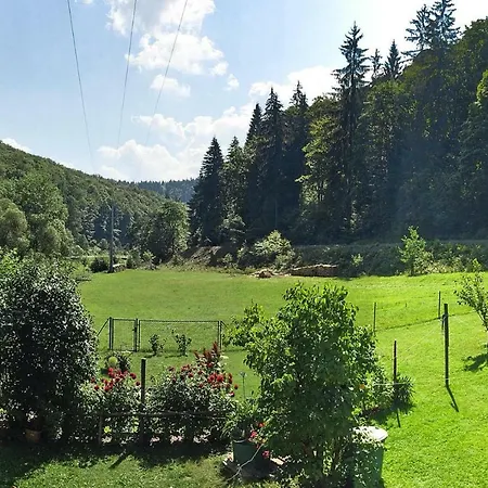 Holiday Thomasmuhle Schleusingerneundorf - Dmg07036-f