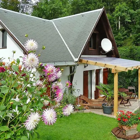 Prázdninový dům Holiday Thomasmuhle Schleusingerneundorf - Dmg07036-f